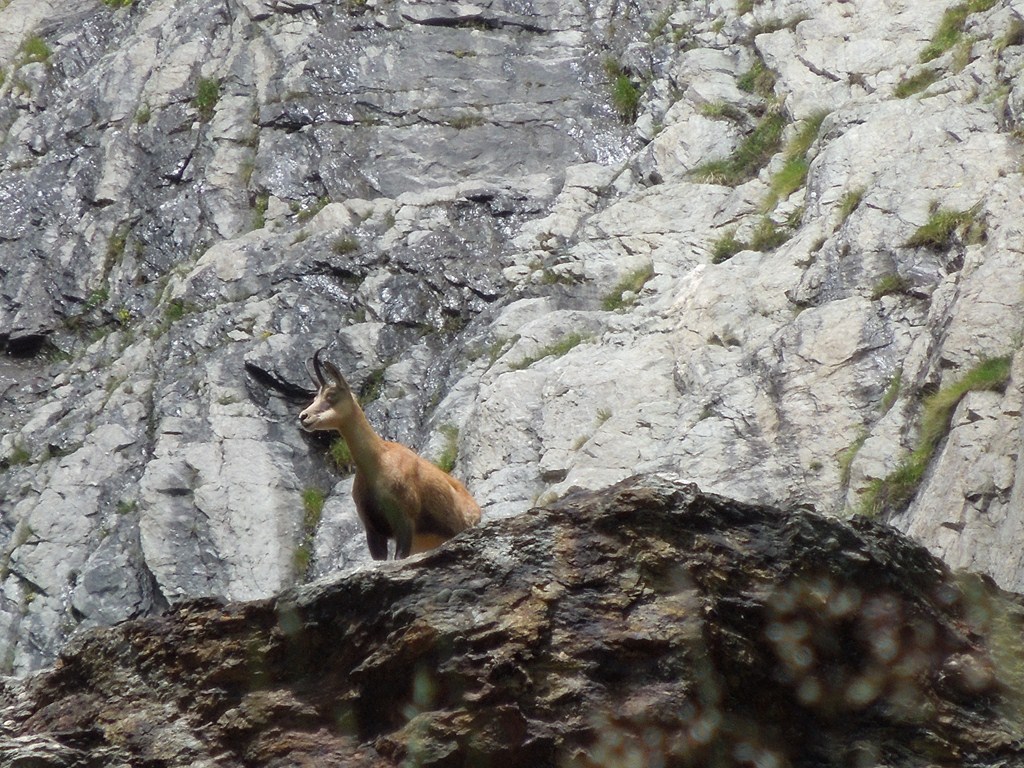 Photo Alpes Oisans Louer gite